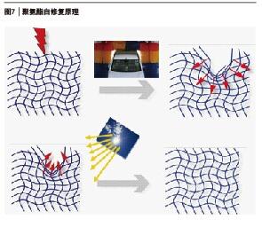 拉斯维加斯9888(中国)官方网站