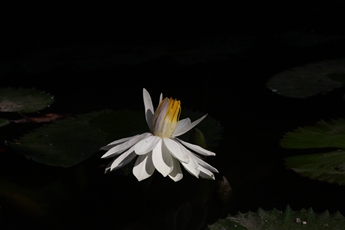 拉斯维加斯9888(中国)官方网站