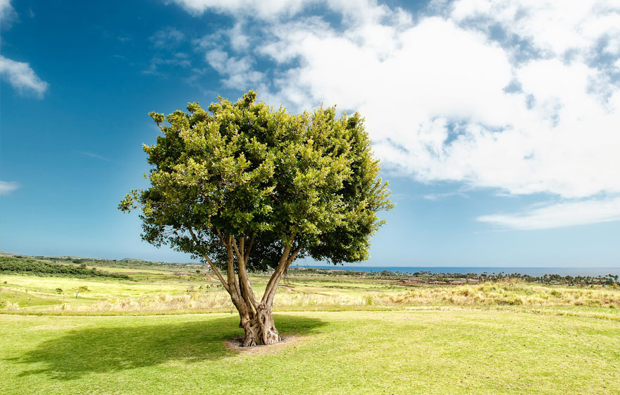 BetMGM官网-不凡成就非凡,相信品牌力量